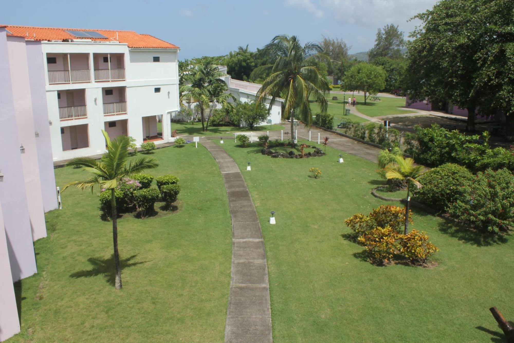Allamanda Grand Anse
