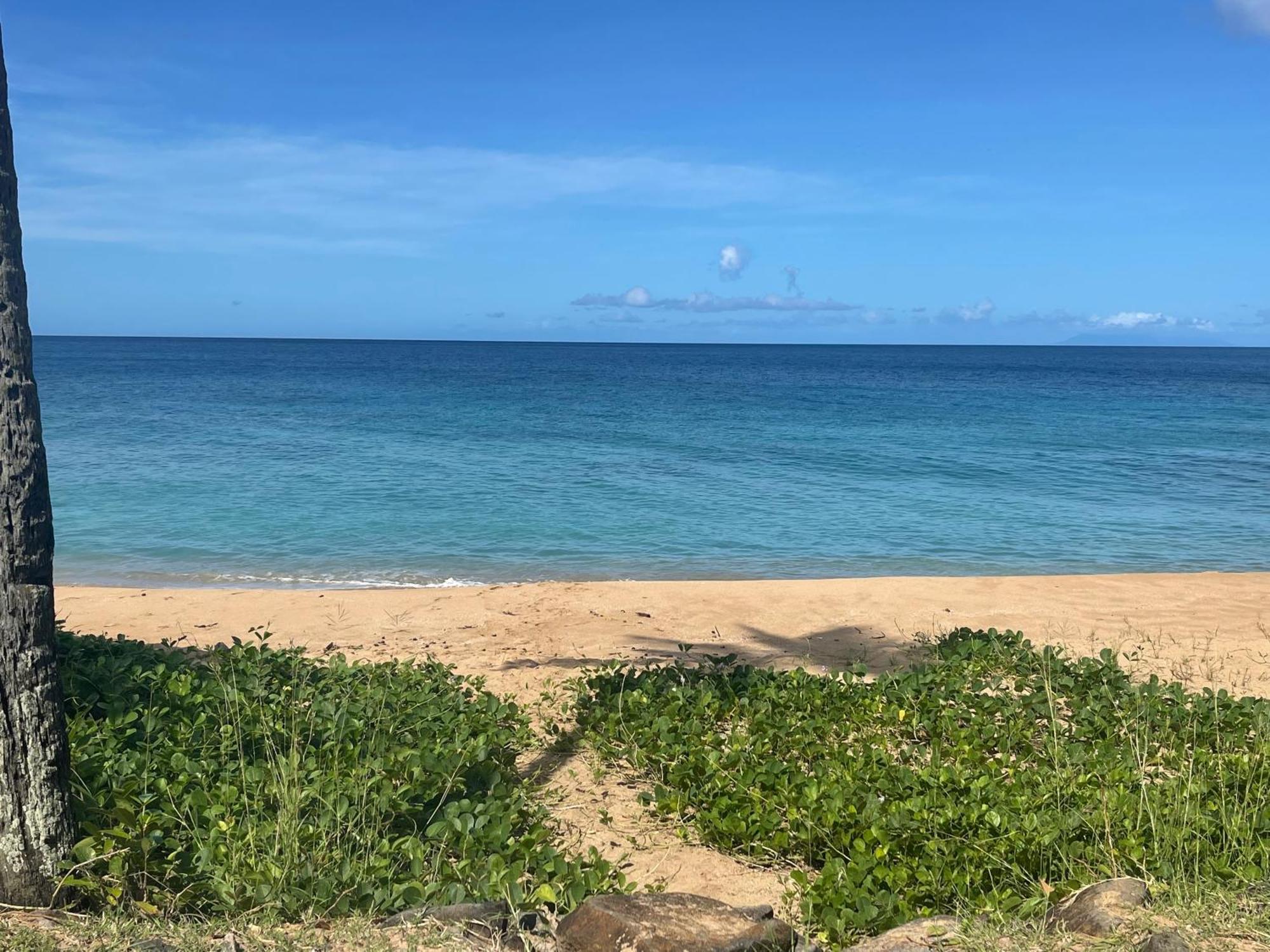 Domaine Entre Ciel & Mer Logement Tibo Acces Mer Direct Apartment *
