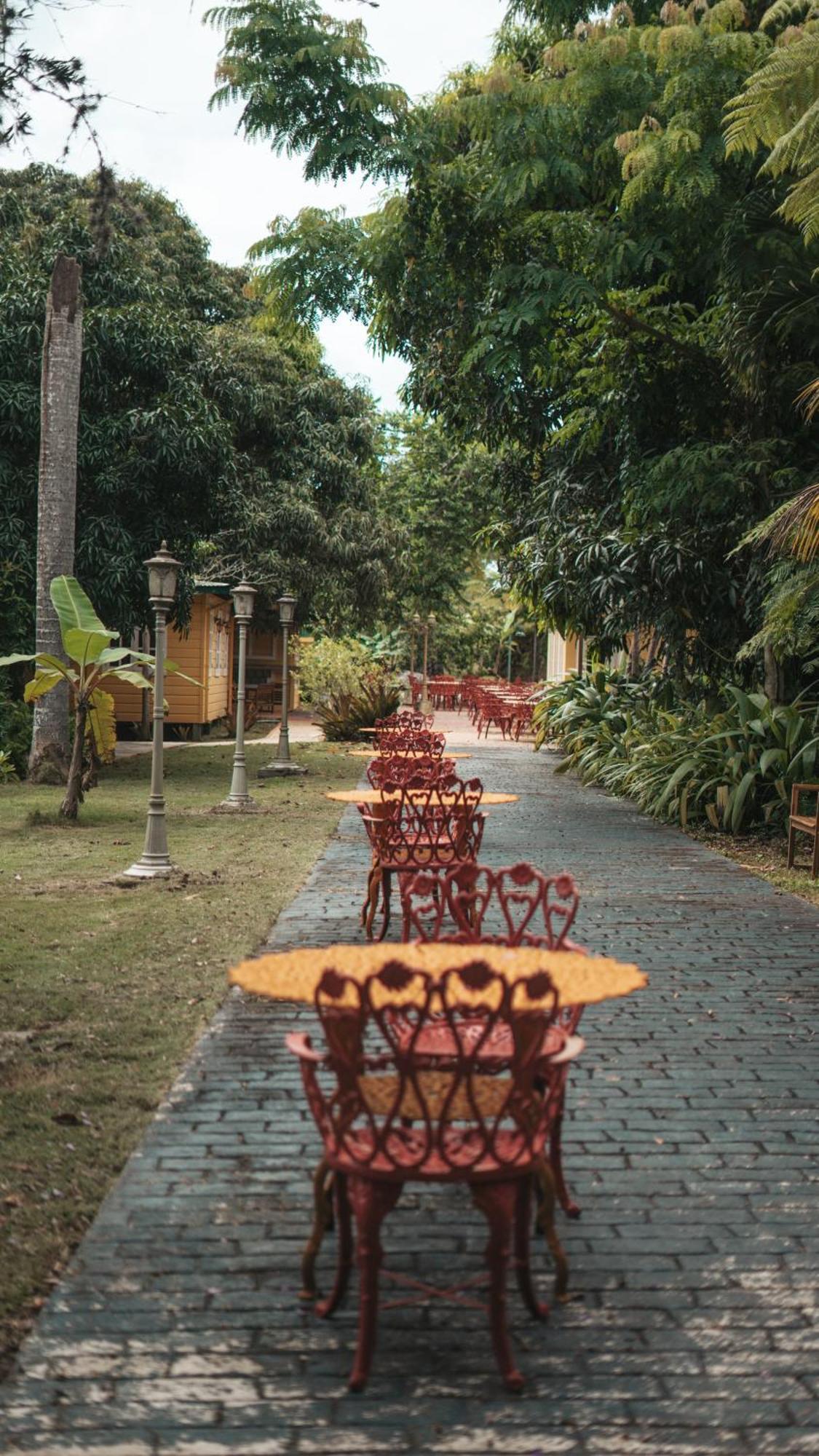 Hotel El Oasis Aguada