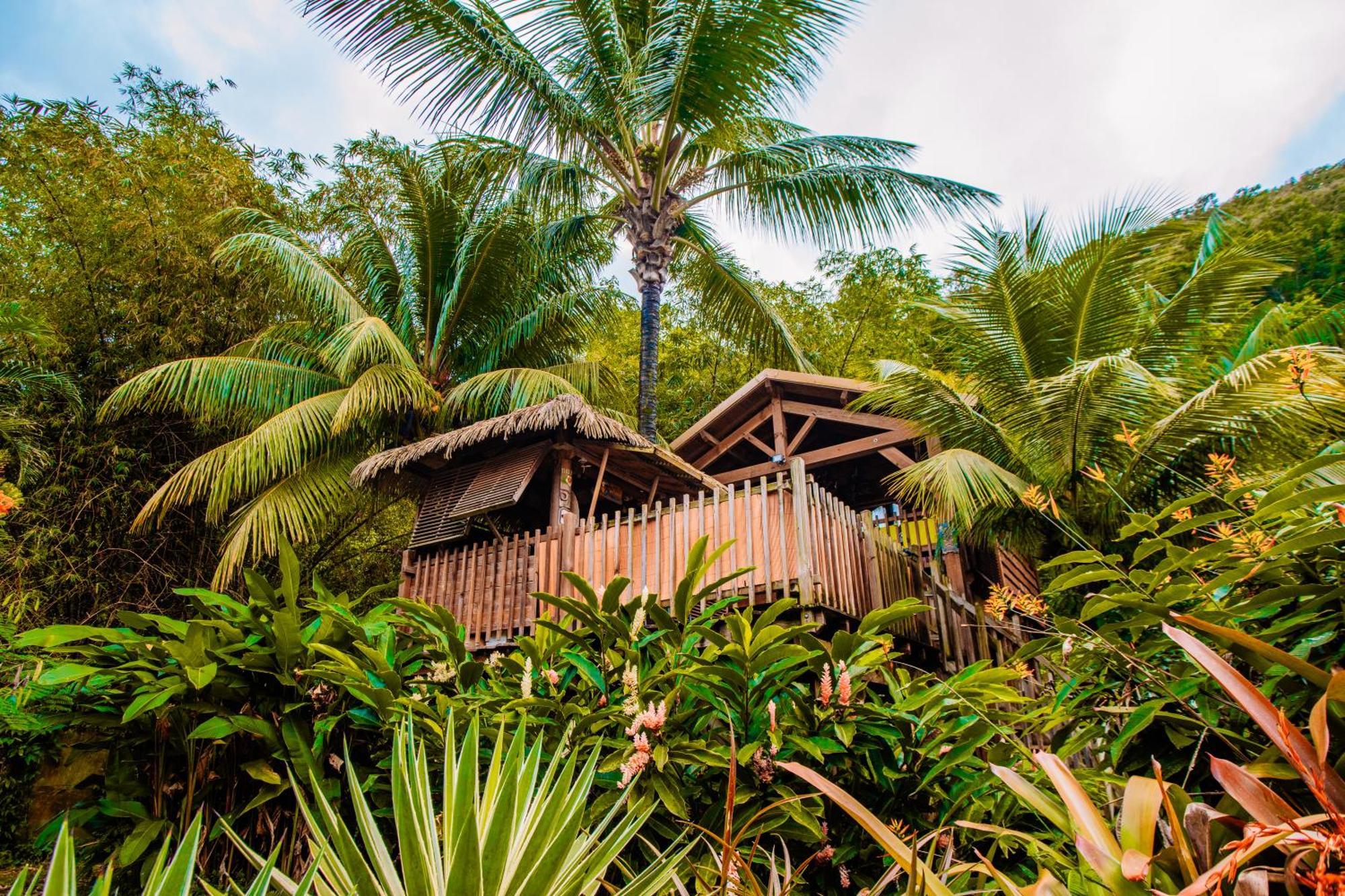 West Indies * Pointe-Noire