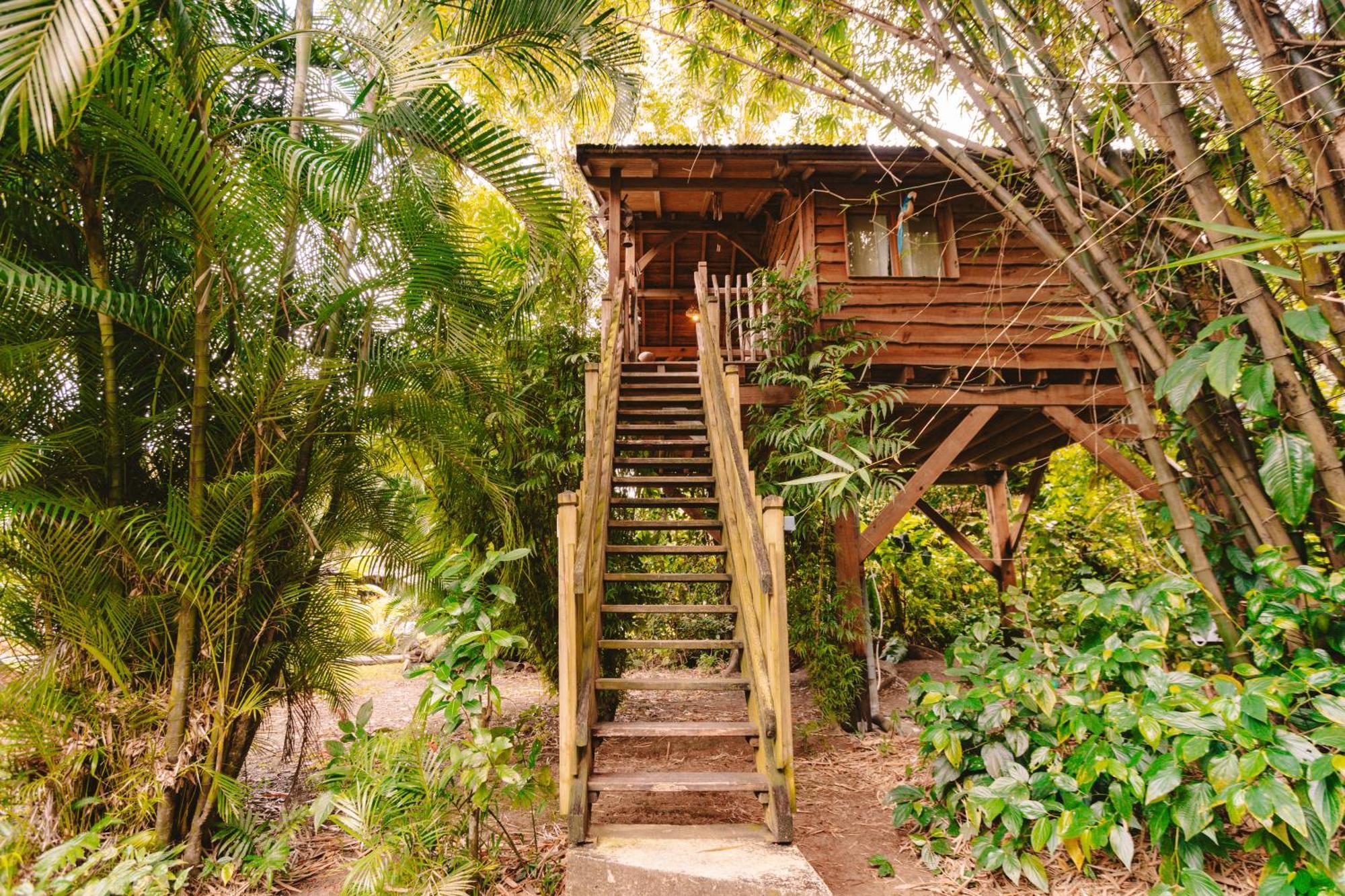 Holiday home West Indies