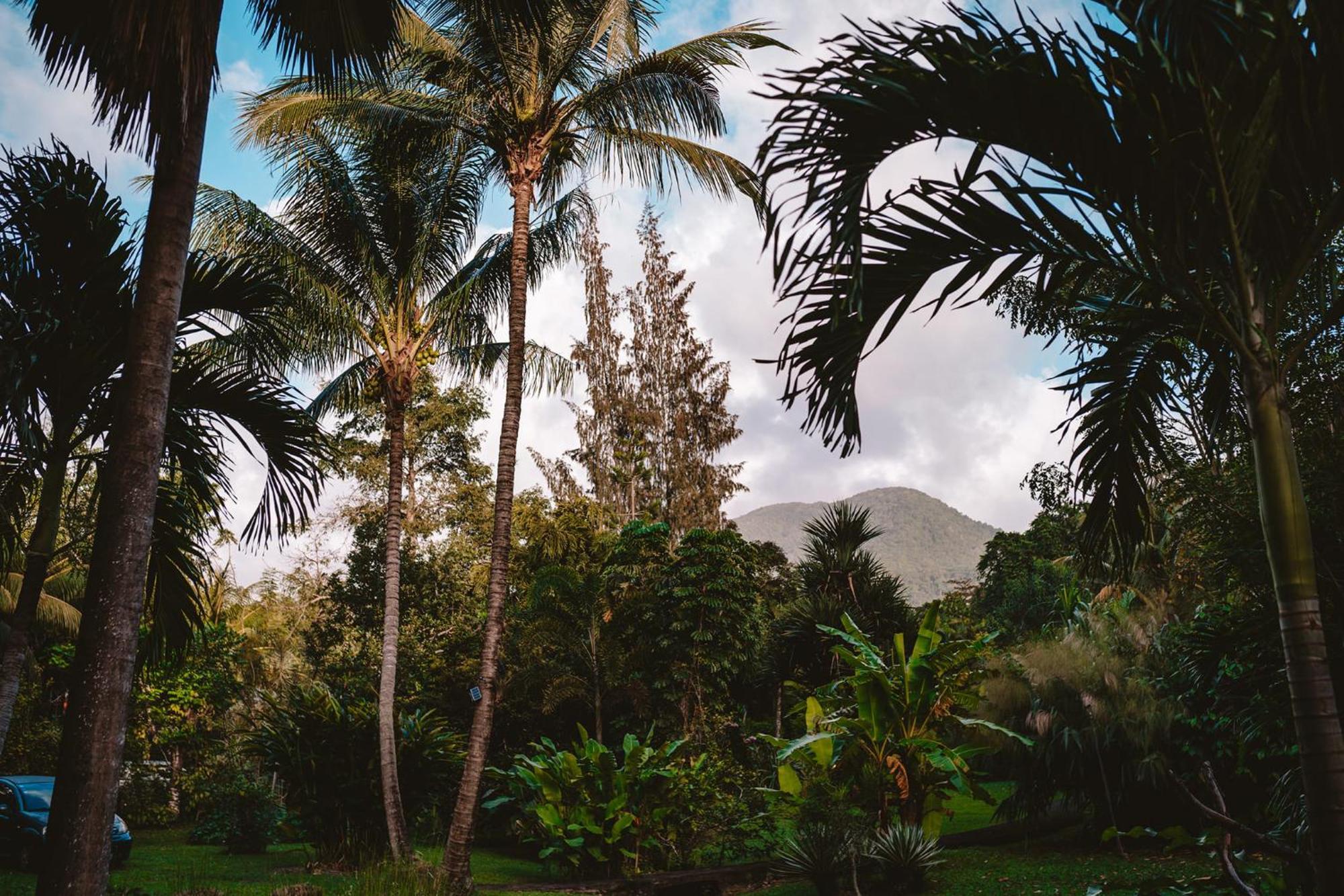 West Indies * Pointe-Noire
