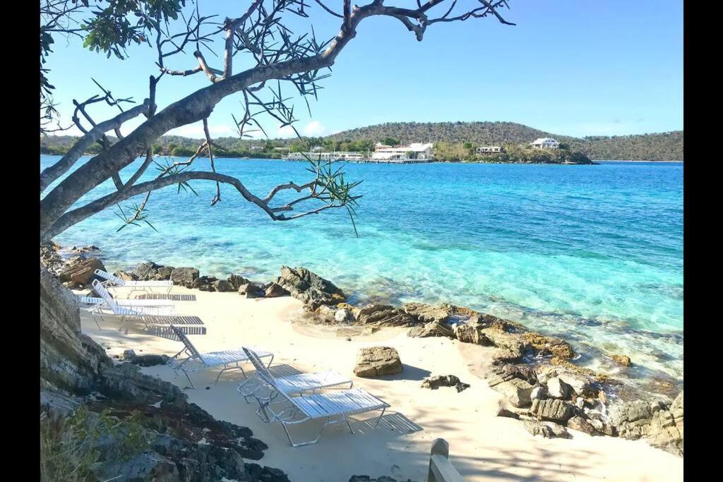 Mermaid Escape East End (Saint Thomas)