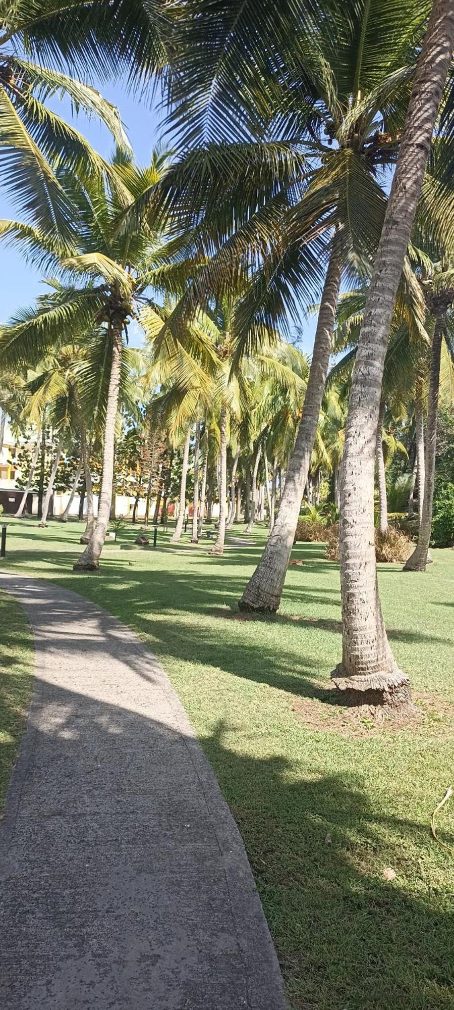 Gwadabelle Apartamento Saint-Francois (Grande-Terre)