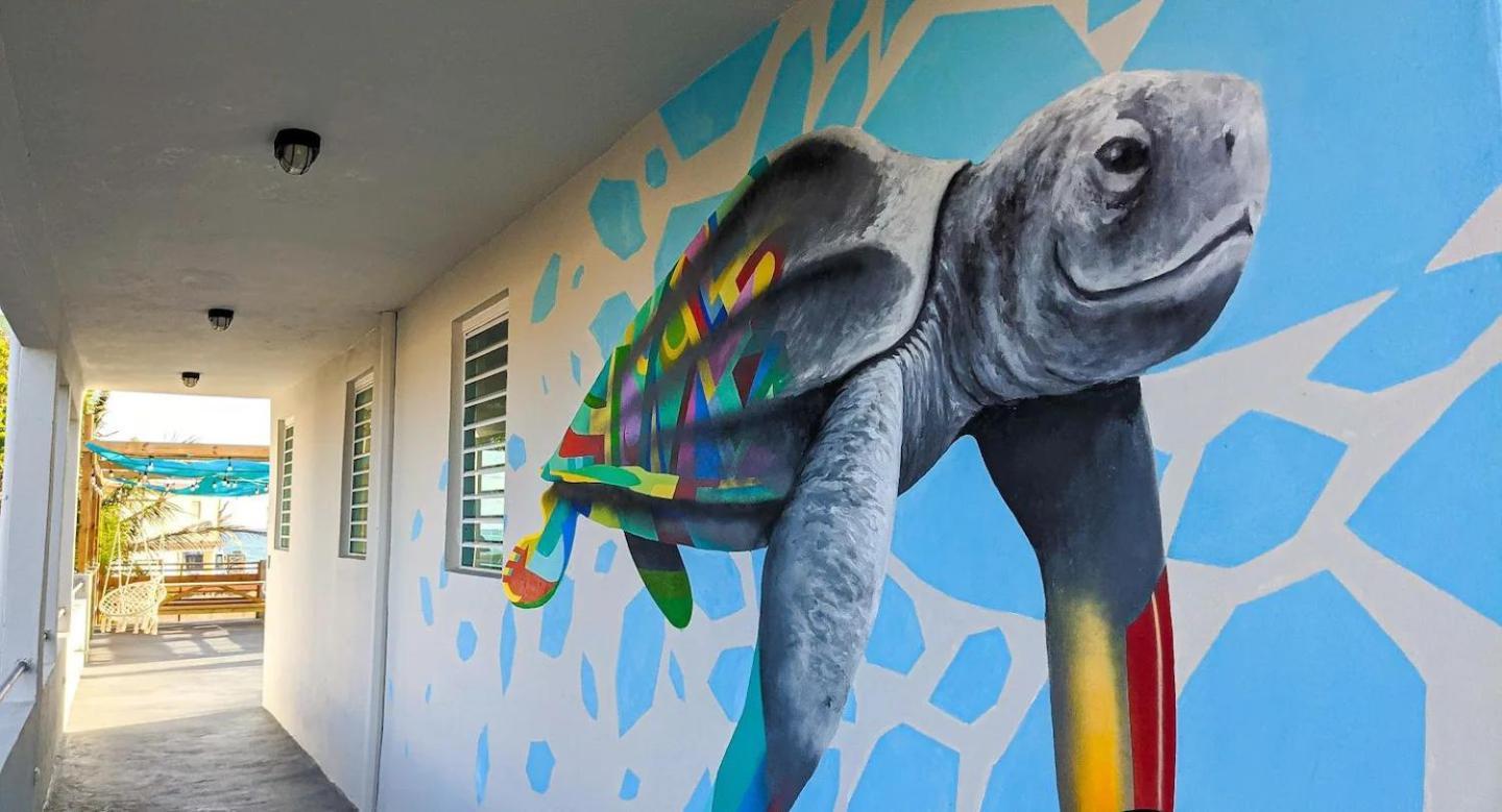 Hotel The Surfing Turtle Luquillo