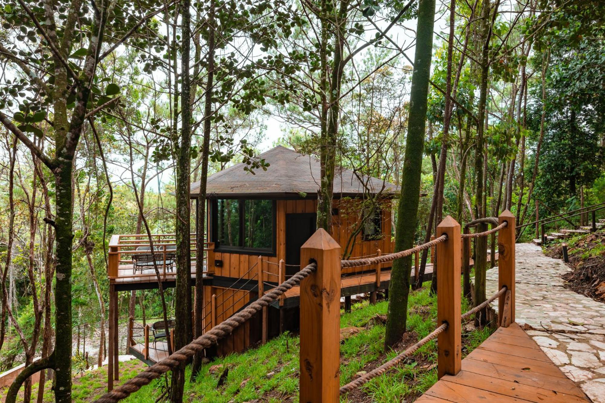 The Grand Forest * Jarabacoa