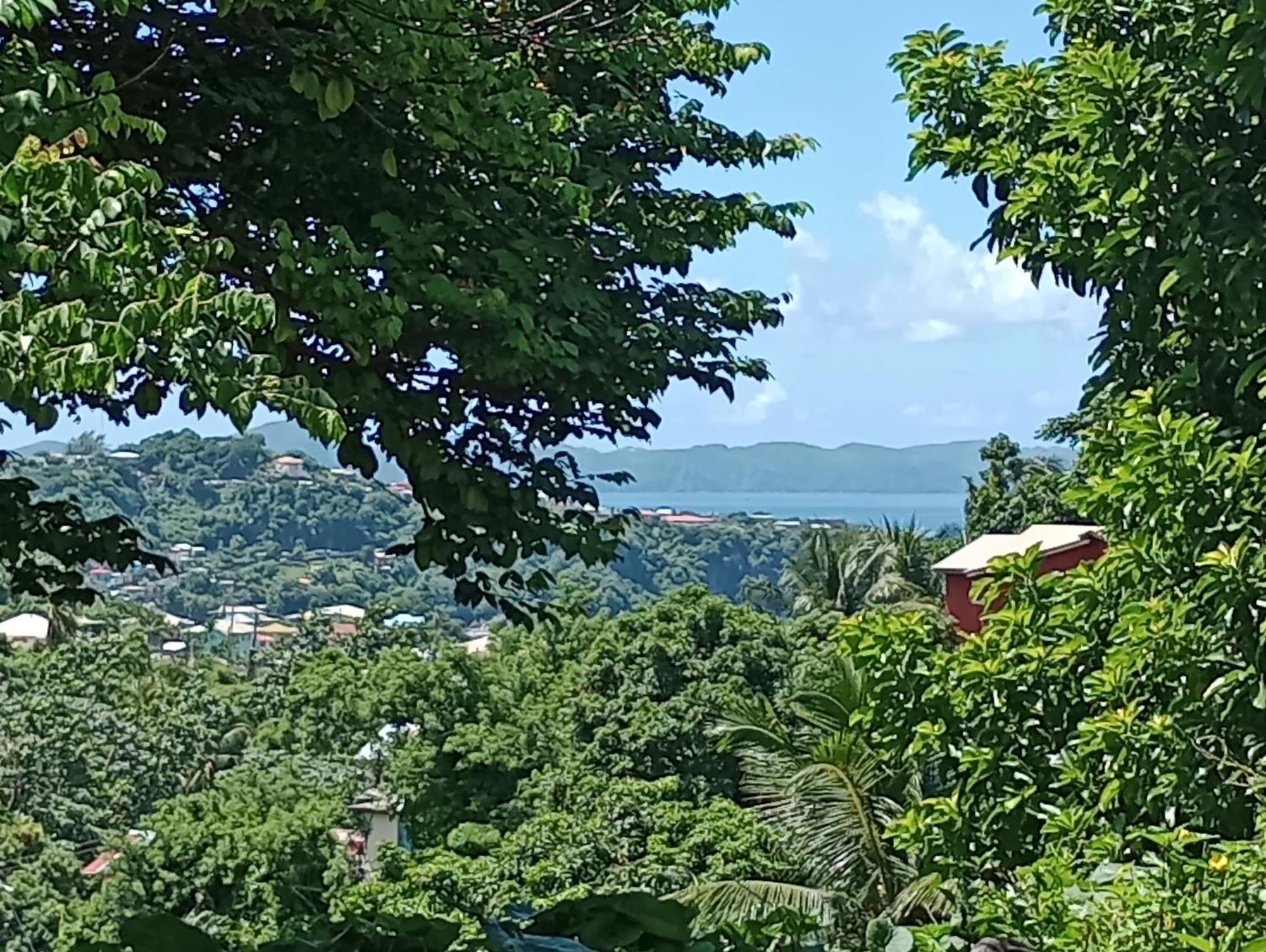 Garifuna Retreat Apartment Kingstown