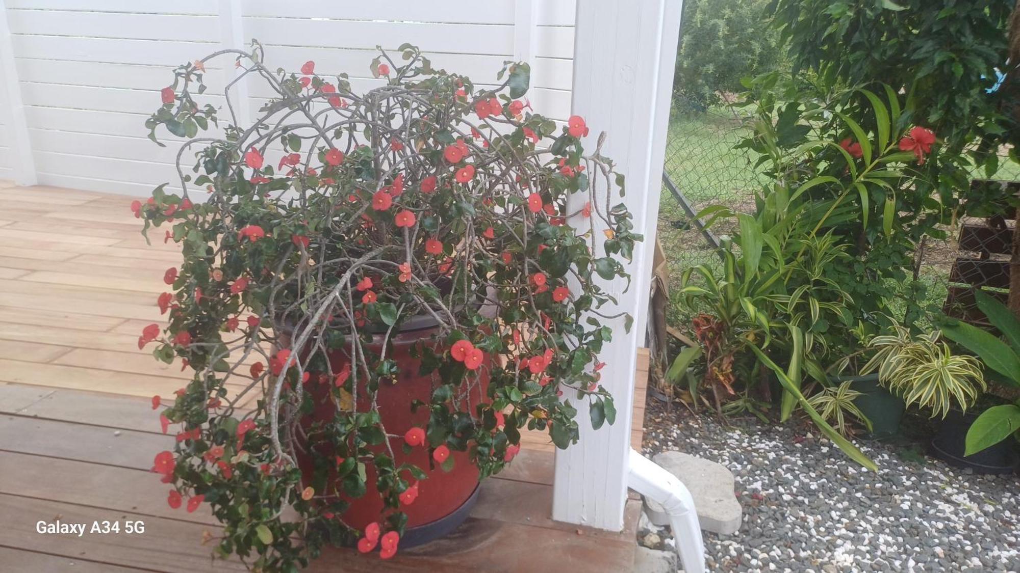 Holiday home Capra Pomme Surette