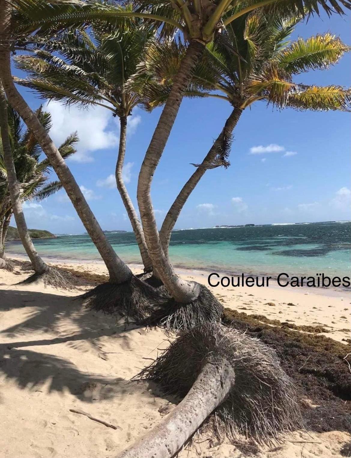 Couleur Caraibes-cocobeach Martinique Pierre Et Apartment