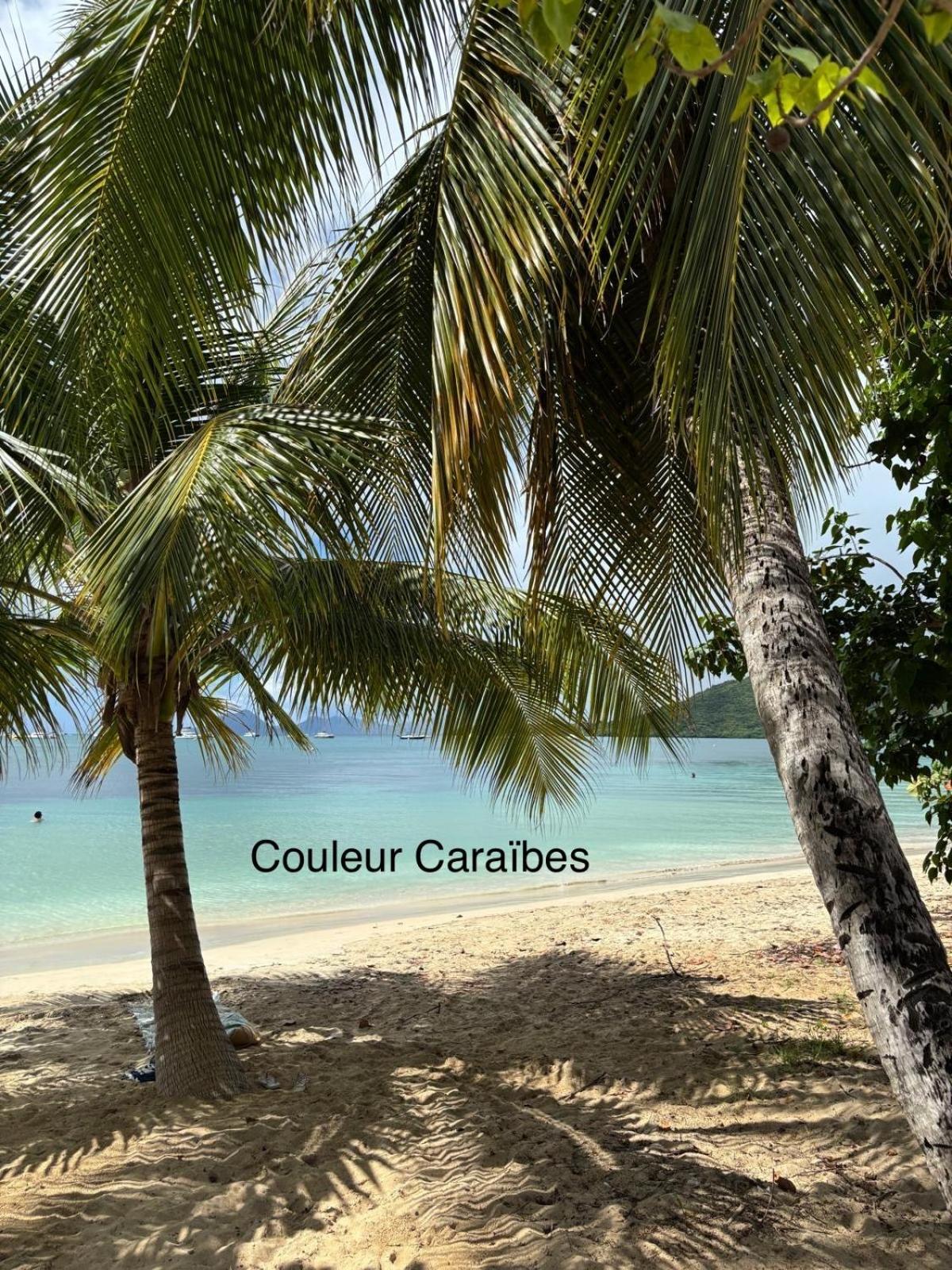 Couleur Caraibes-cocobeach Martinique Pierre Et Apartment *