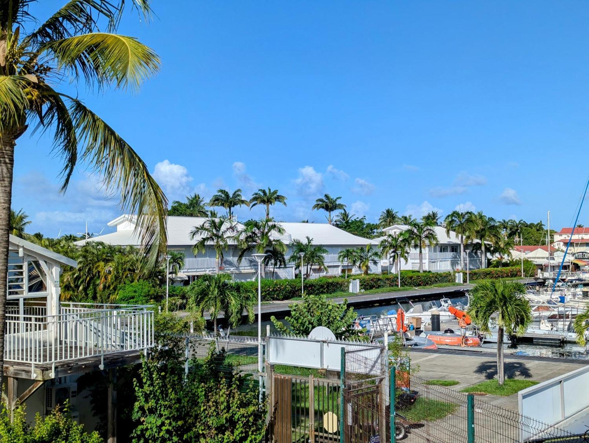 Plongeon Sur La Marina Saint-Francois (Grande-Terre)