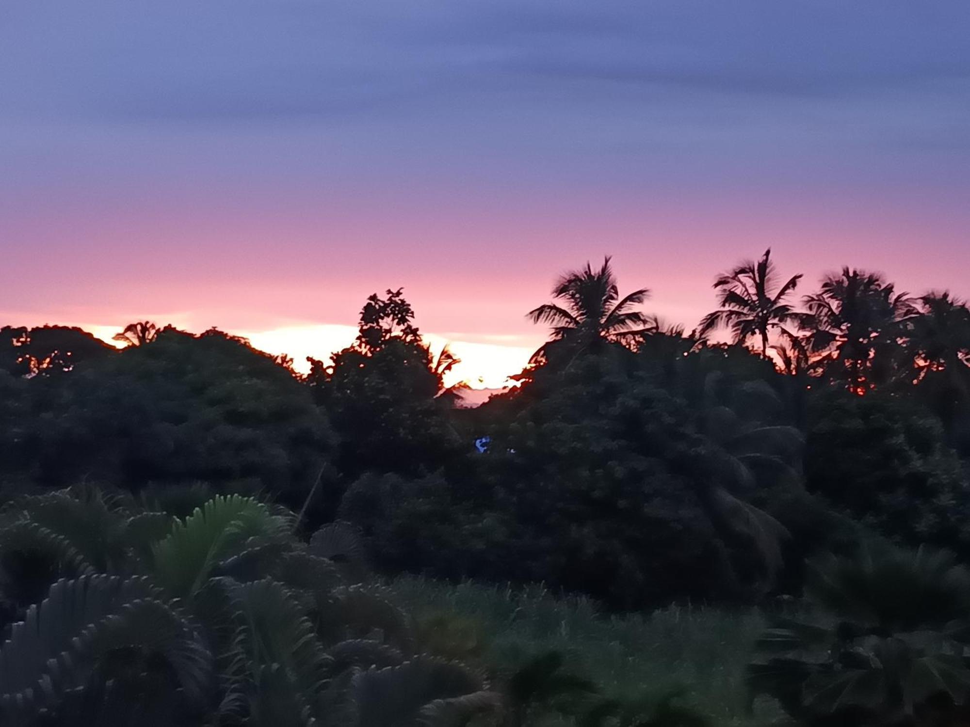 L'aseta Paradise