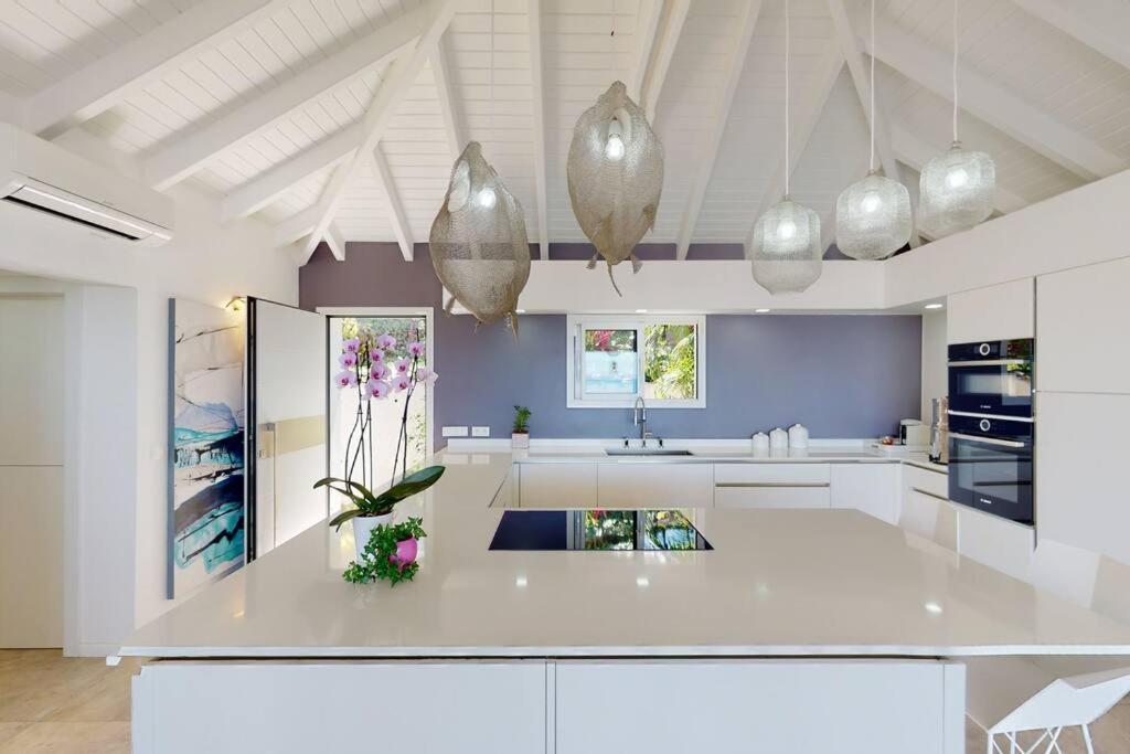 Villa Prestigious & Marewa With Breathtaking Ocean View - Saint Martin French Side La Savane