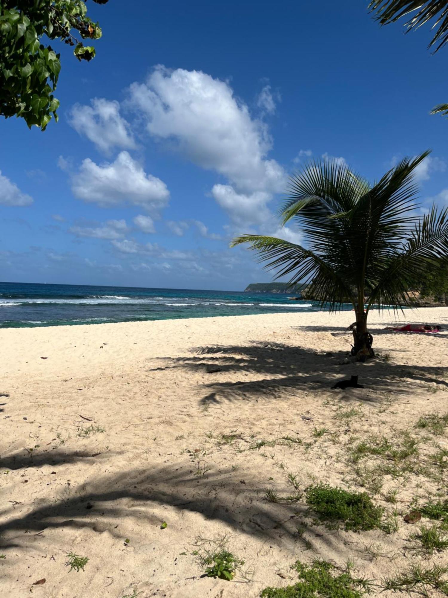 La Du Sportif Bernard * Anse-Bertrand