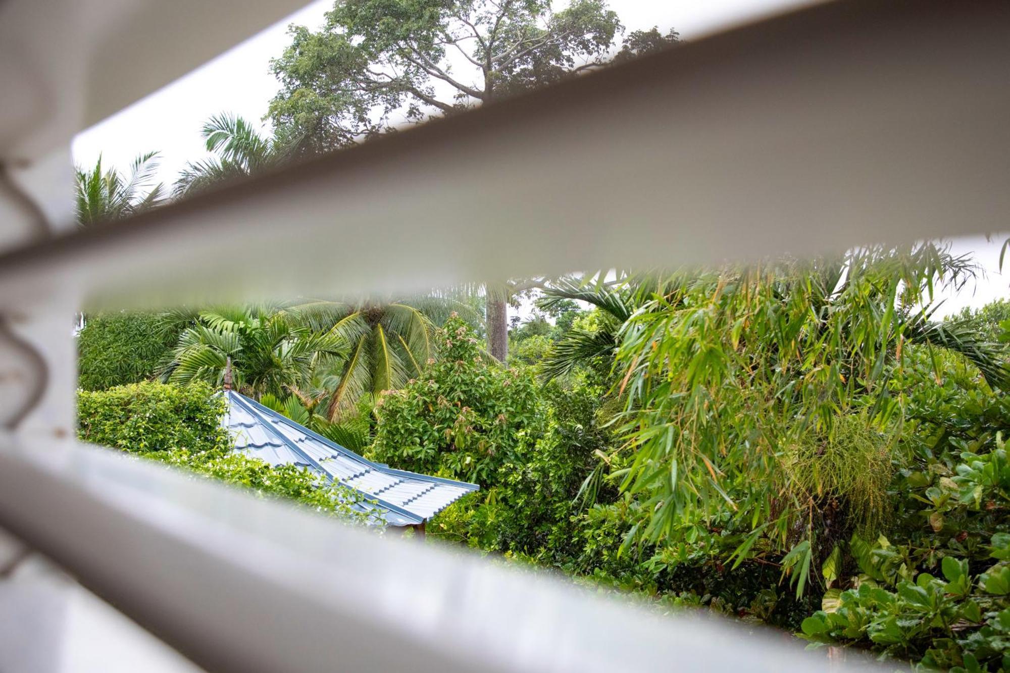 Lf Jungle Retreat Port Antonio