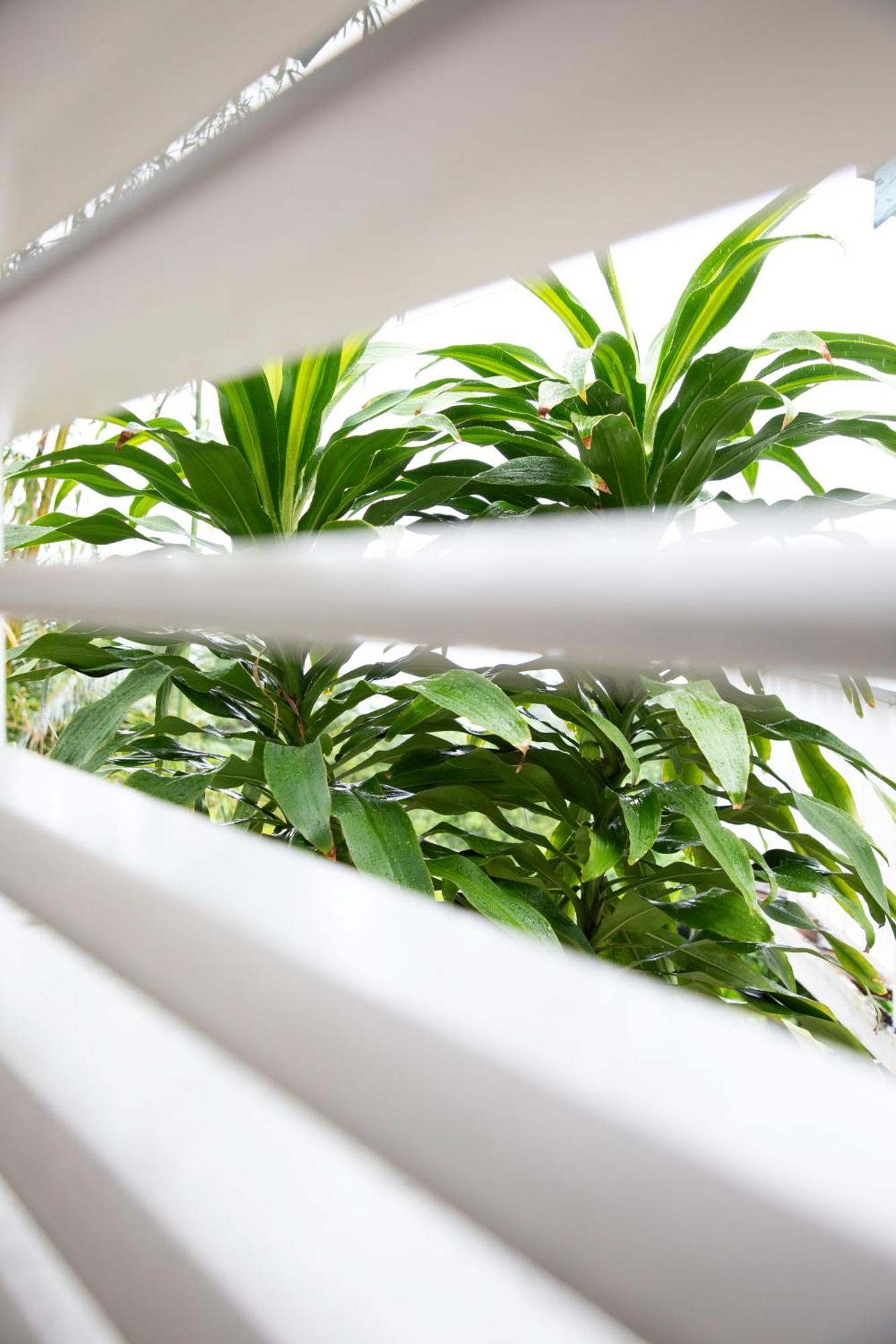 Hotel Lf Jungle Retreat 4*