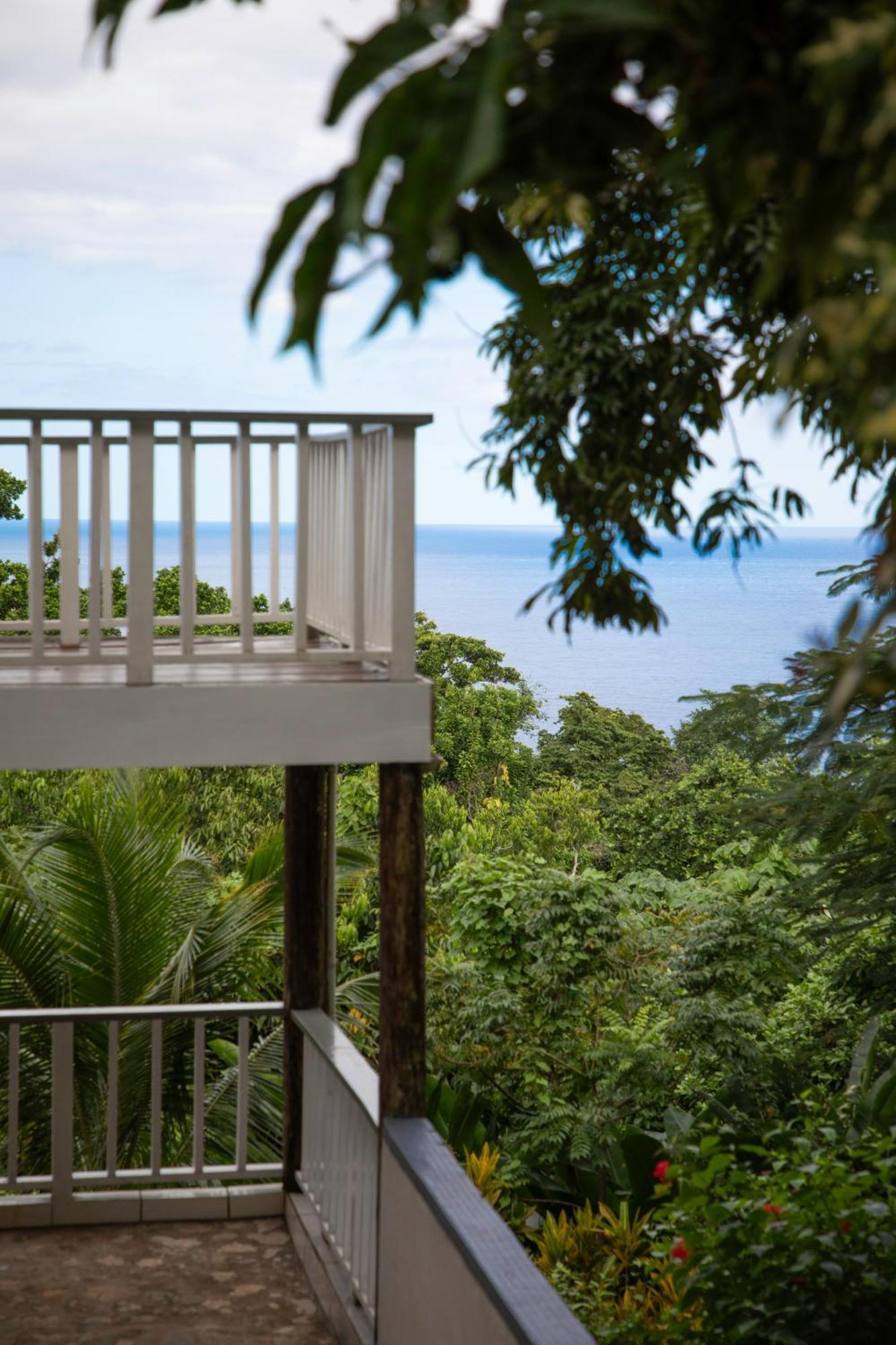 Lf Jungle Retreat Port Antonio