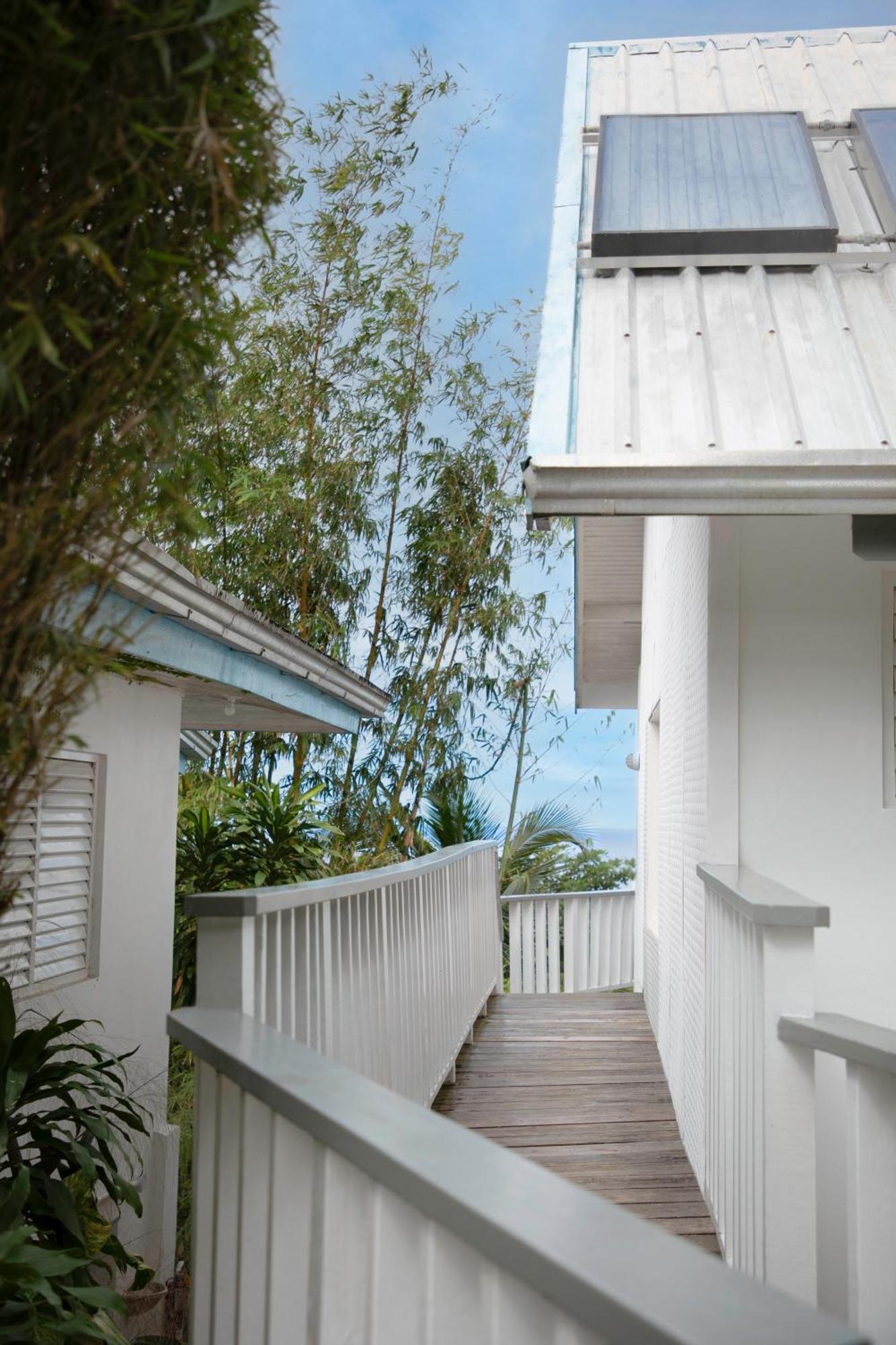 Lf Jungle Retreat Hotel Port Antonio