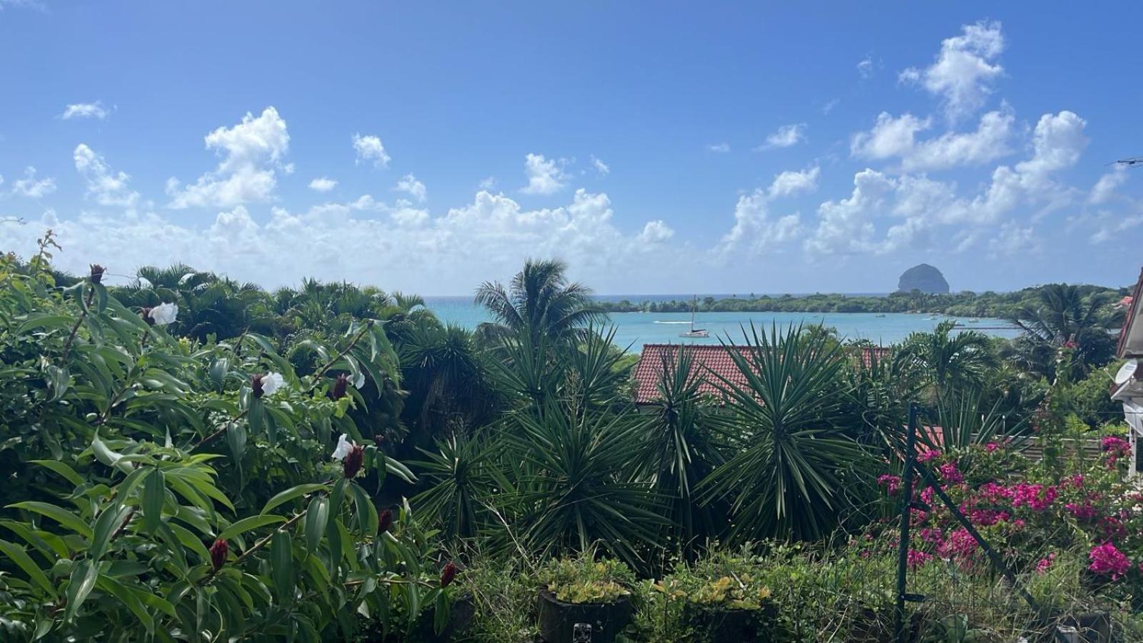 Bleue, Piscine, Vue Pousada