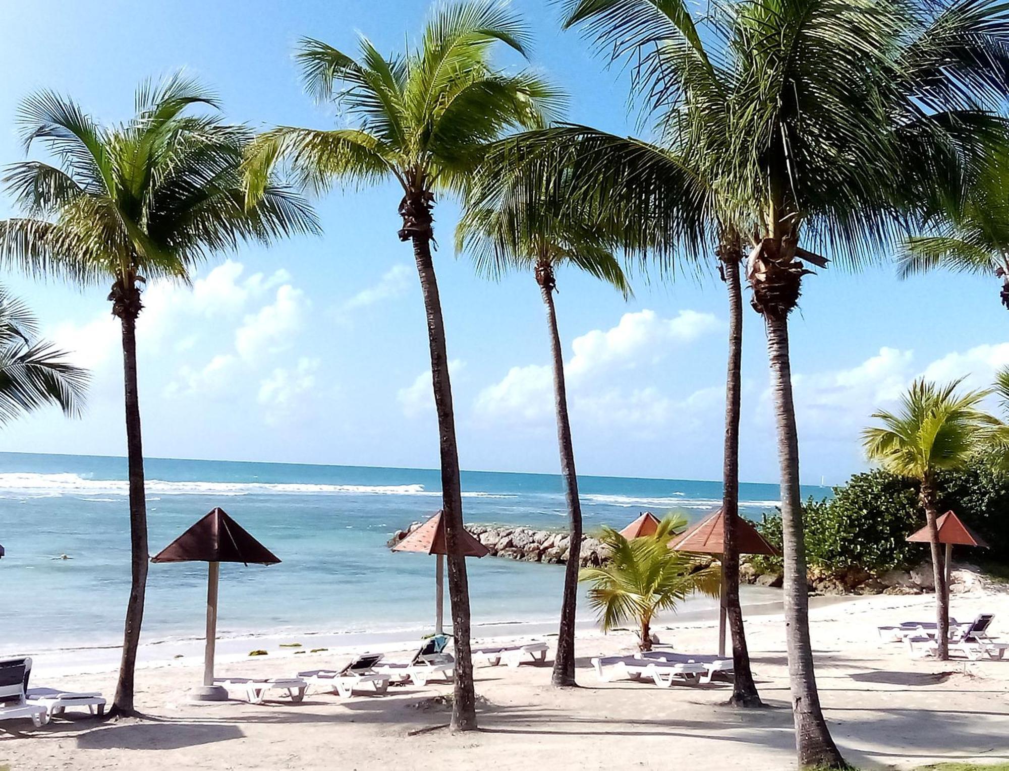 Magnifique Avec Terrasse Coco Apartment Sainte-Anne (Grande-Terre)