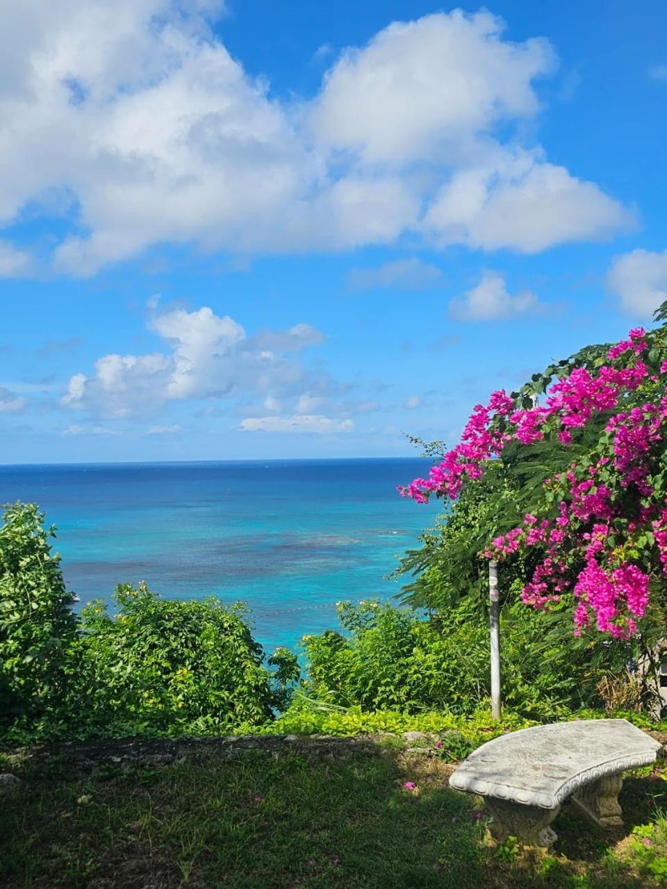 Montego Bay Club Apartments