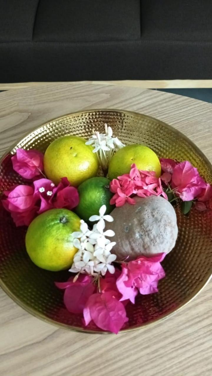 Studio Bilimbi Guadeloupe Village Vacances A Sainte-Anne Proche De Saint-Francois Apartamento Sainte-Anne (Grande-Terre)