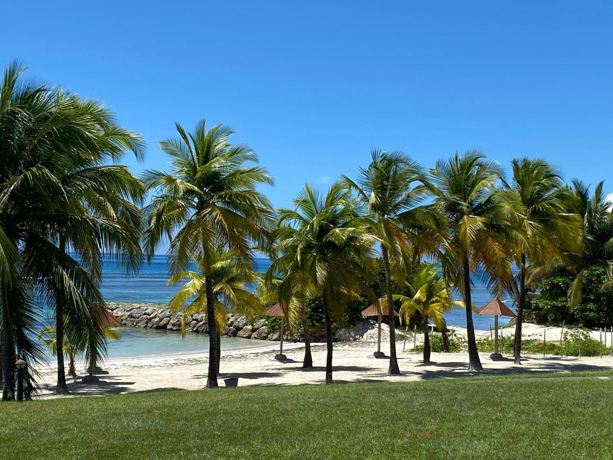 Studio Bilimbi Guadeloupe Village Vacances A Sainte-Anne Proche De Saint-Francois Apartamento