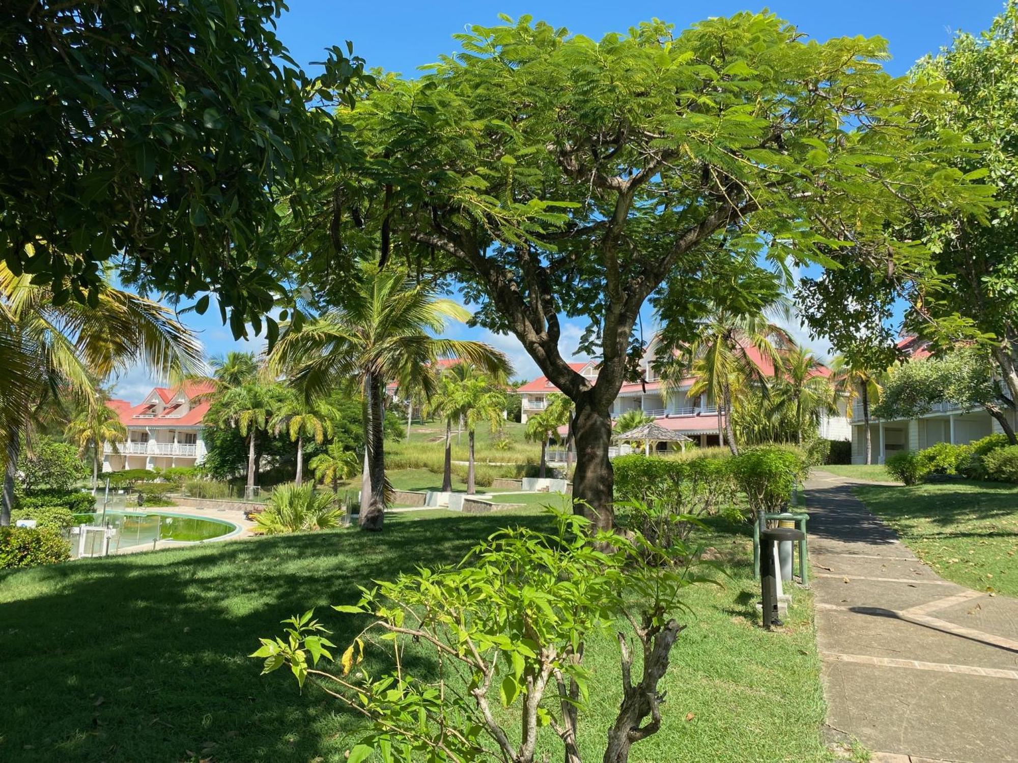 Studio Bilimbi Guadeloupe Village Vacances A Sainte-Anne Proche De Saint-Francois Apartamento *