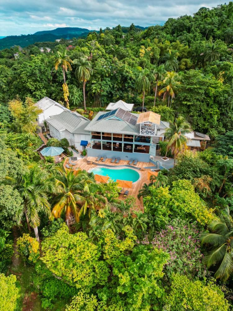 Lf Jungle Retreat Hotel Port Antonio