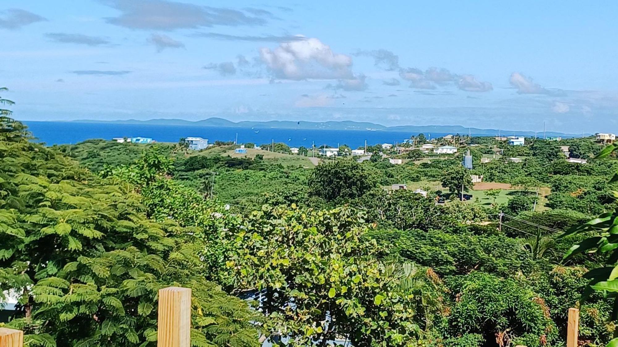 Rooster Run Glamping Has Rooftop And Off The Ground Glamping Experience For 1 To 16 In A Single Tent And Views Of The Rain Forrest And To Culebra Across The Atlantic Ocean W Tents, Linens, Deluxe Air Beds, Warm Shower And At A Great Pric