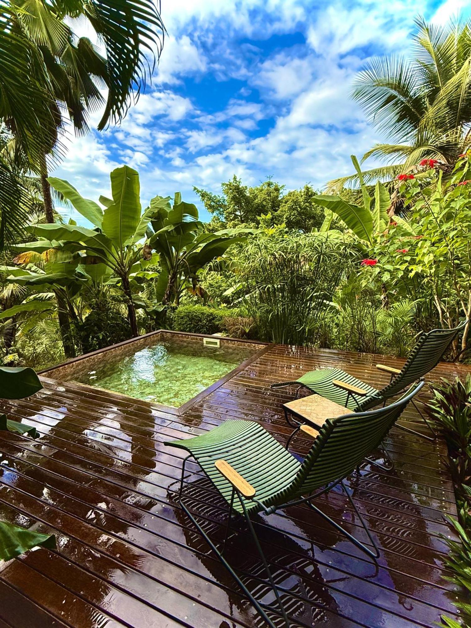 Habitation Cafeiere Samana Beausejour - *