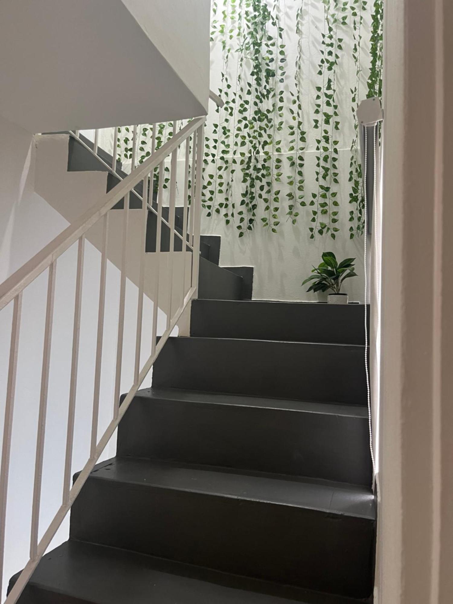 Shalex House 2