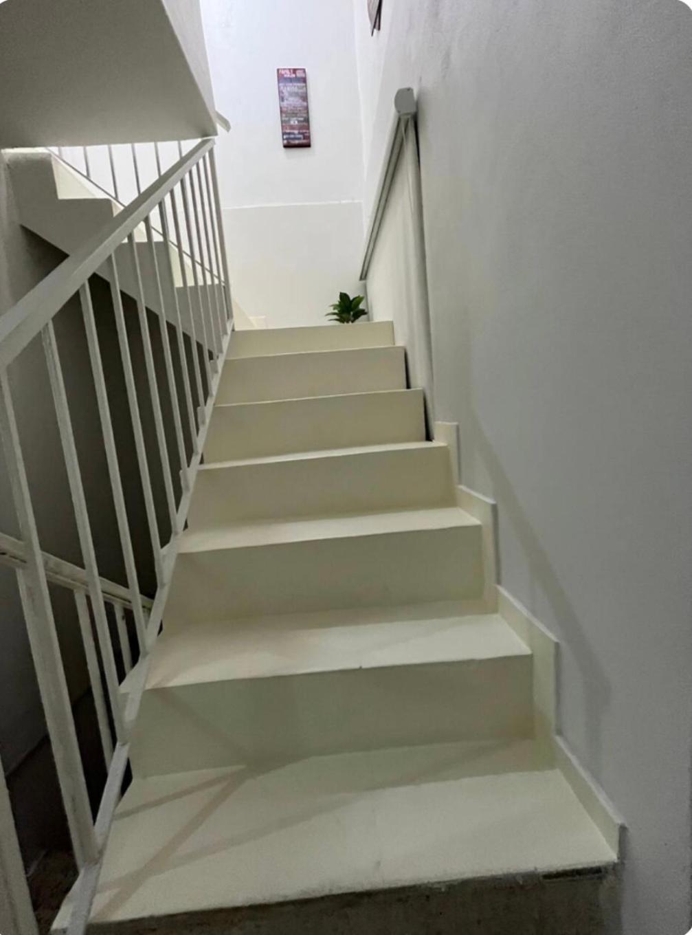 Shalex House 2 Apartment Carolina