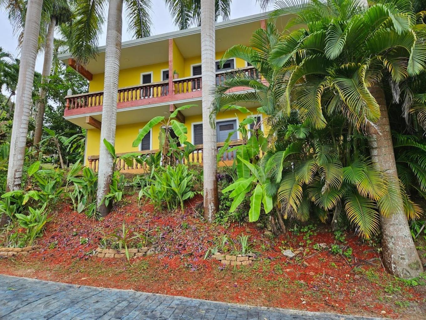 Hotel El Oasis