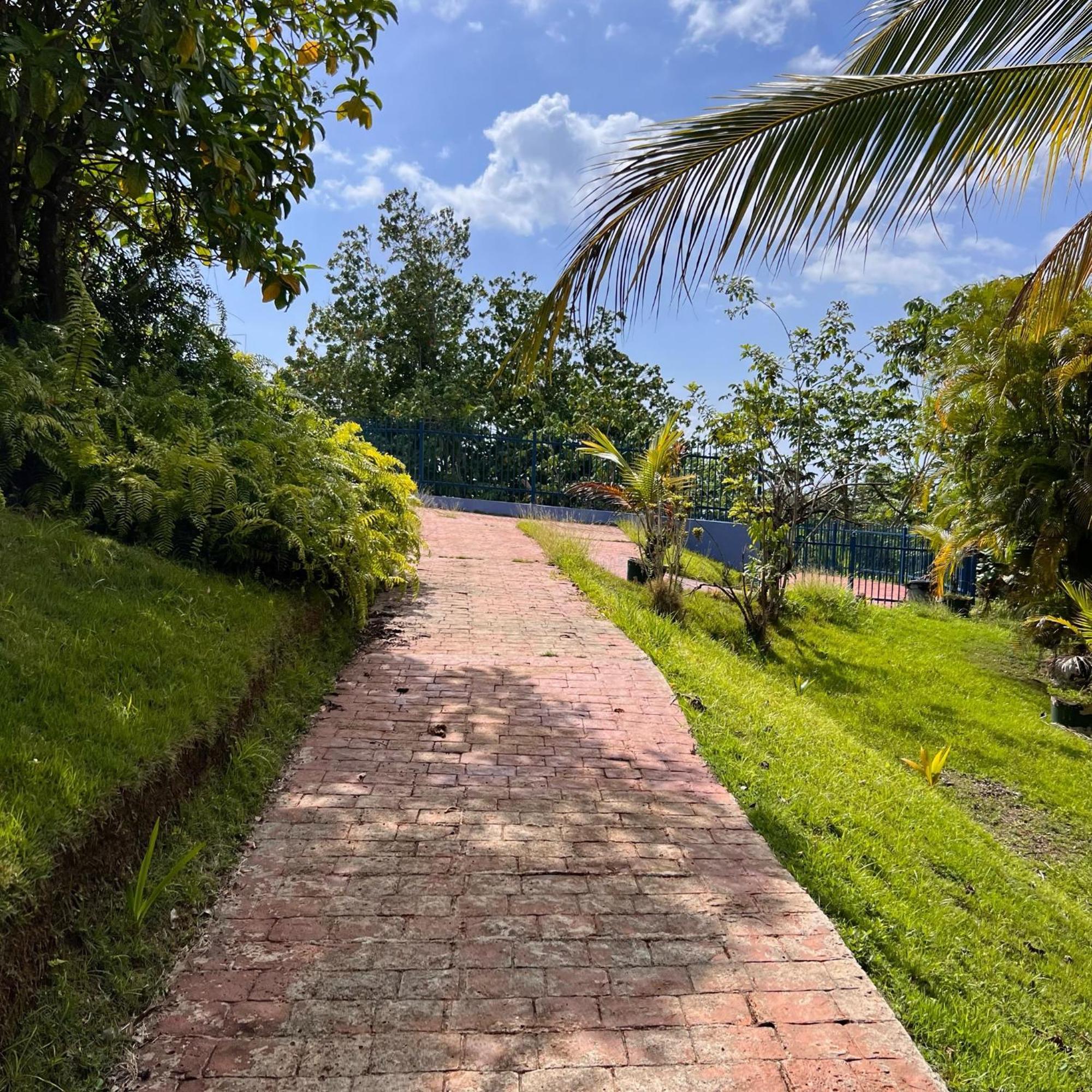 El Oasis Aguada