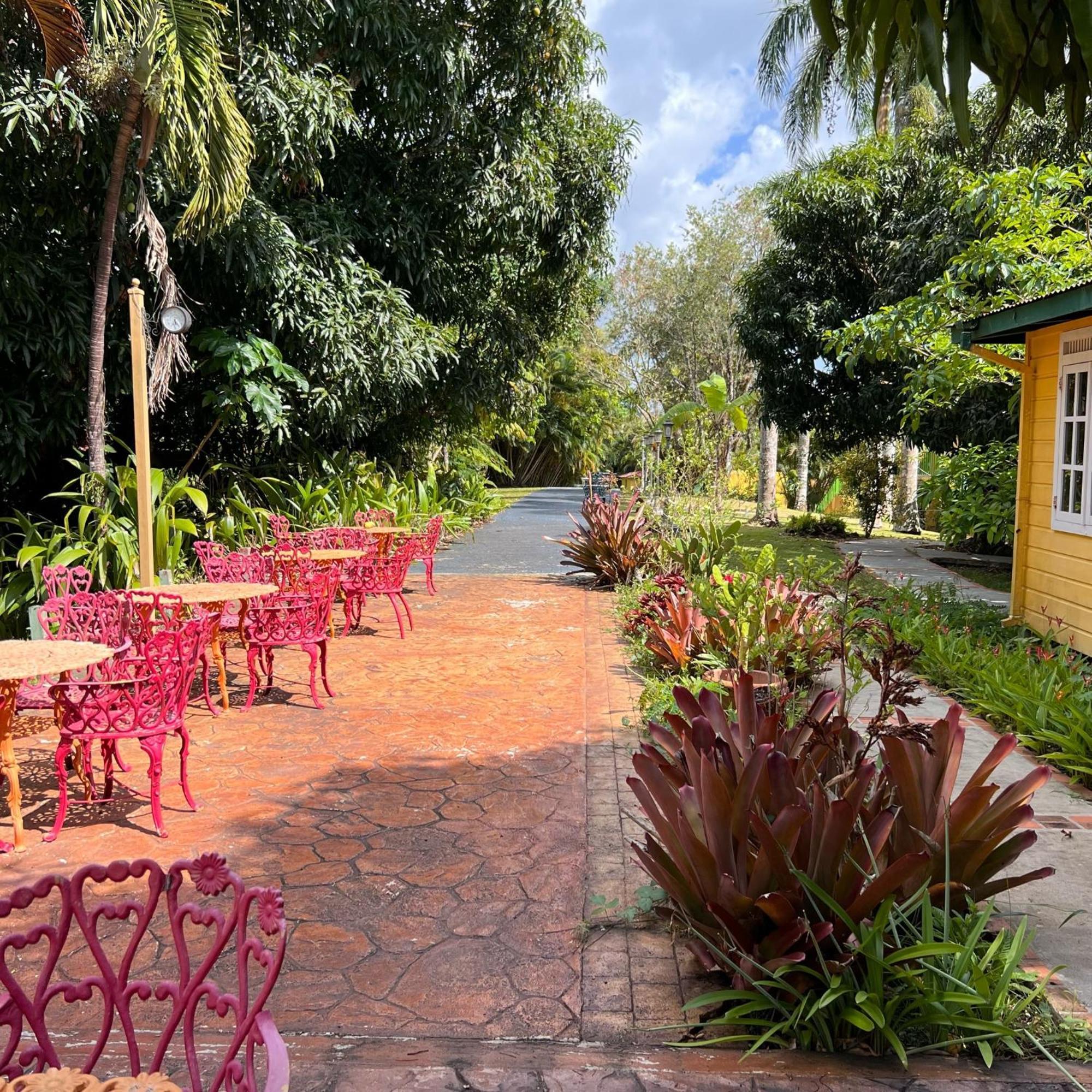 El Oasis Hotel Aguada
