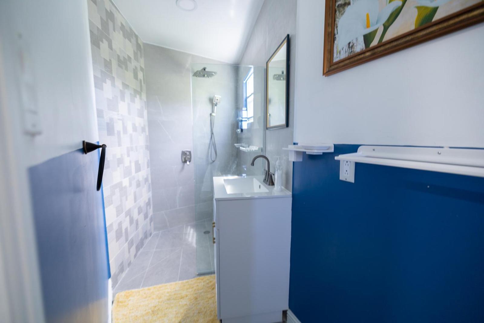 Charming Valley View Apartment St. John's