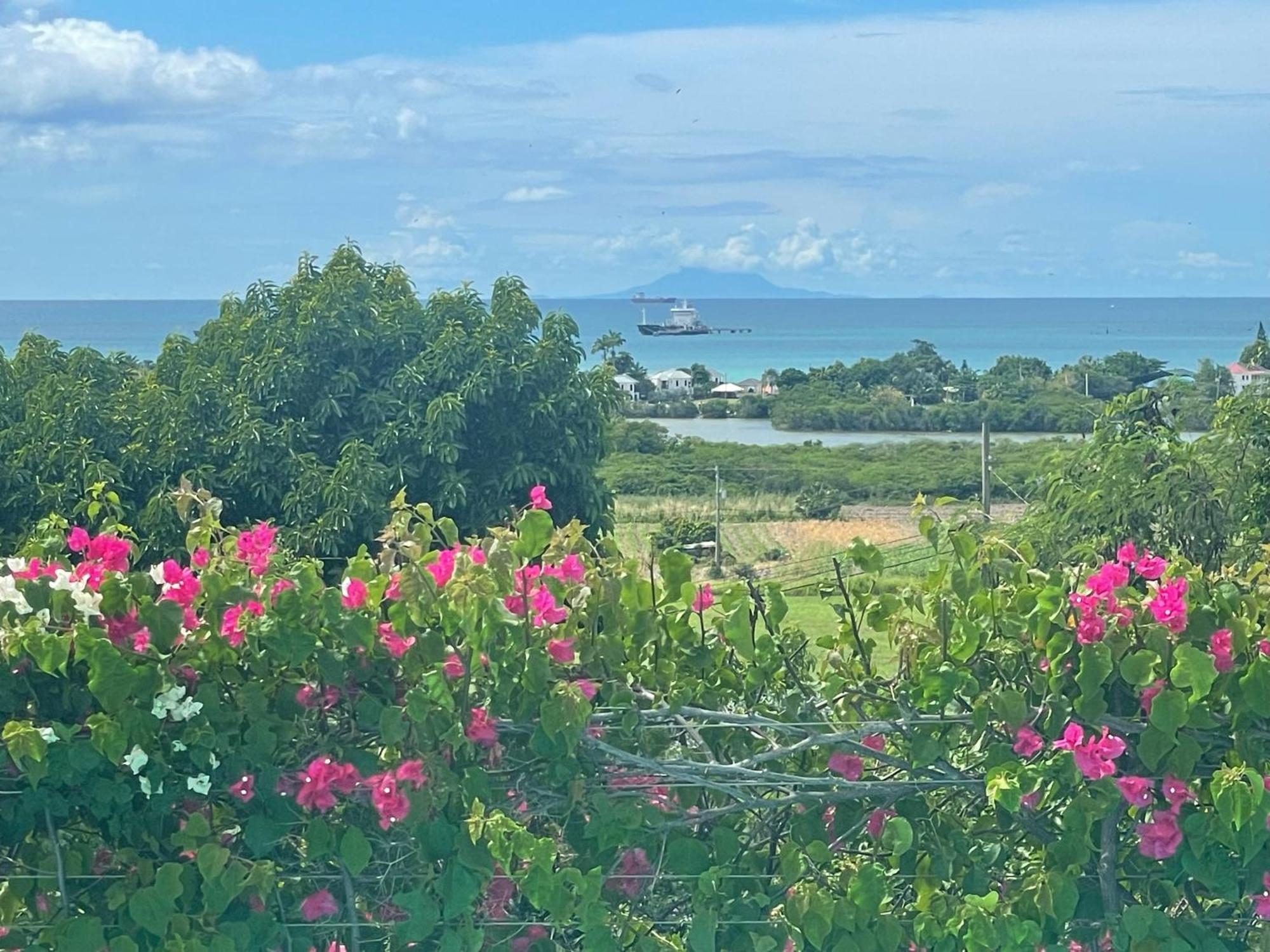 Rare 3 Bedroom Ocean View With Private Pool