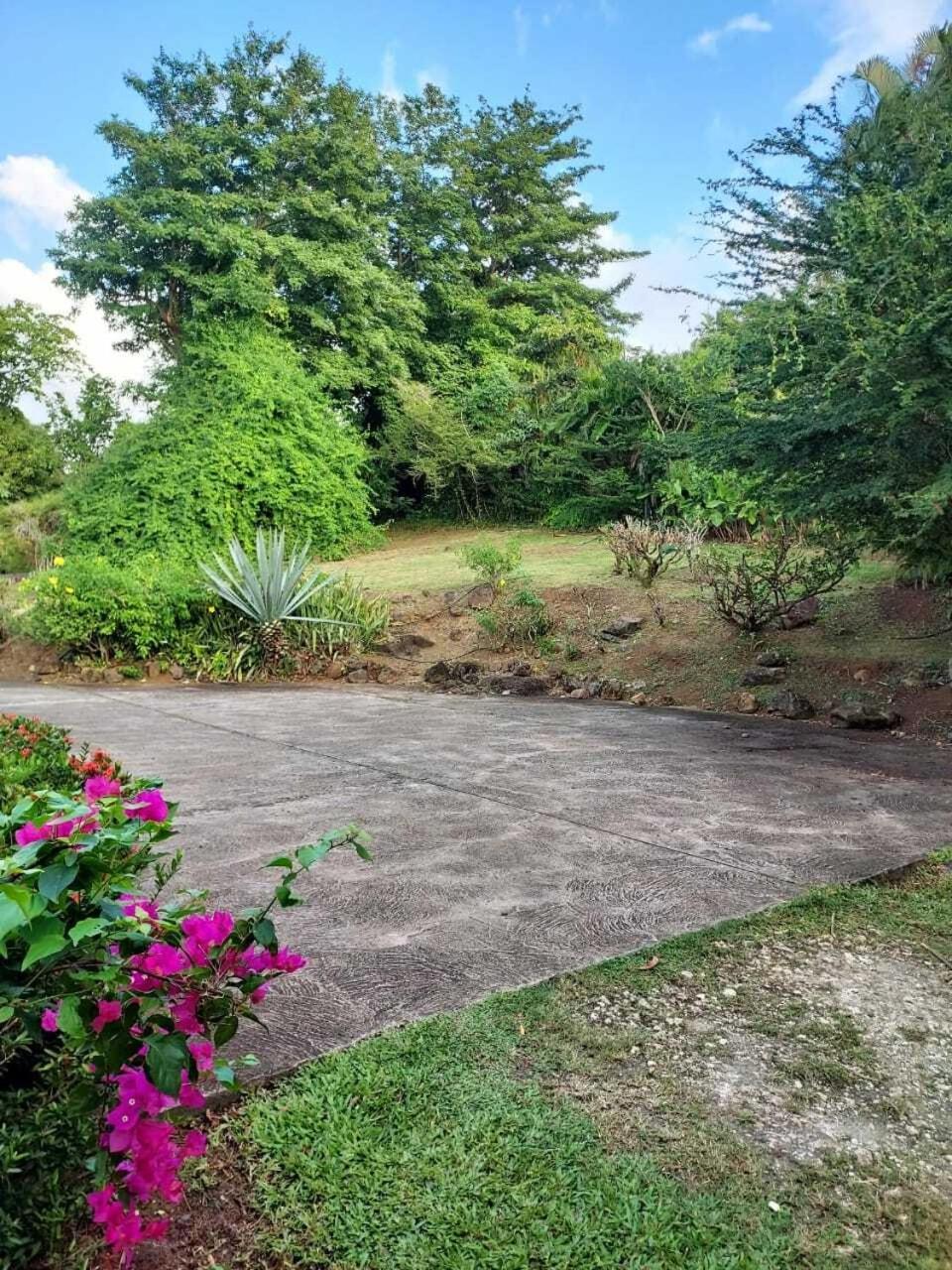 Villa Du Jardin Botanique, Ex. Propriete Coluche Deshaies