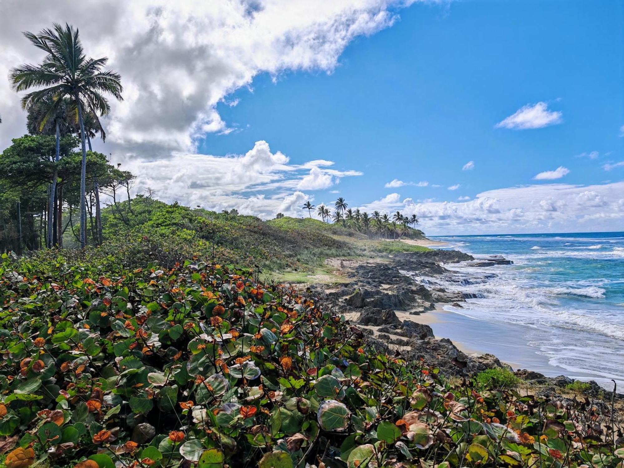 Hotel Surf One