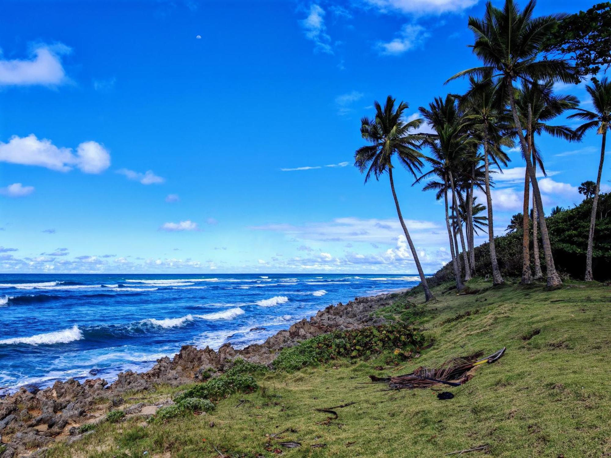 Hotel Surf One *
