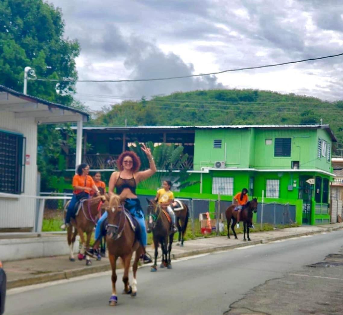 Good Vibe Vieques