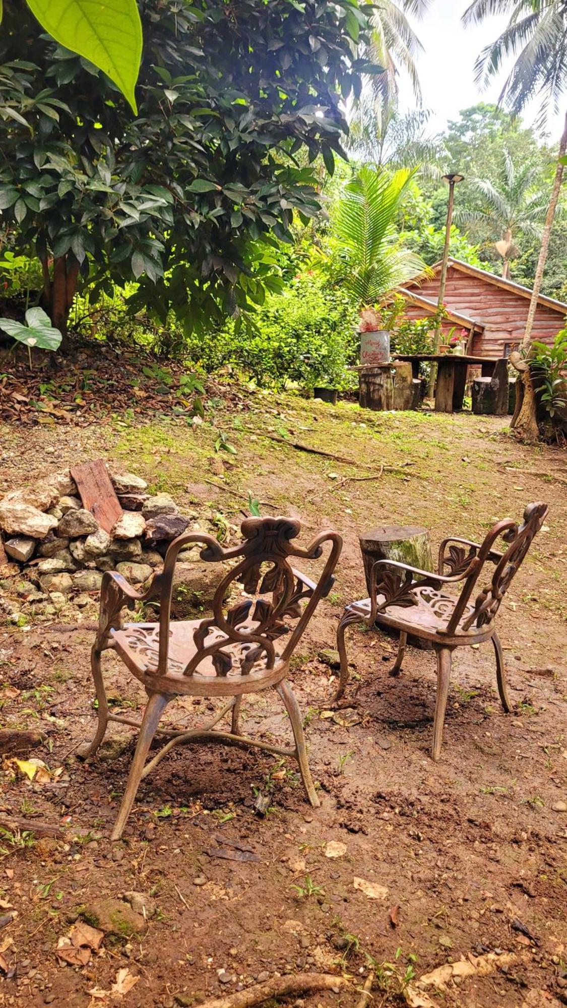 Alojamento Ecoscape Jamaica - Lavish 1-br By The River