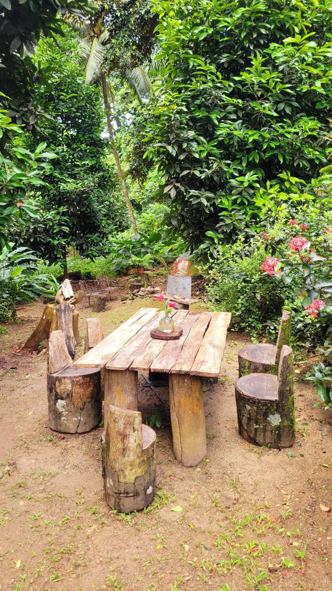 Ecoscape Jamaica - Lavish 1-br By The River Alojamento *