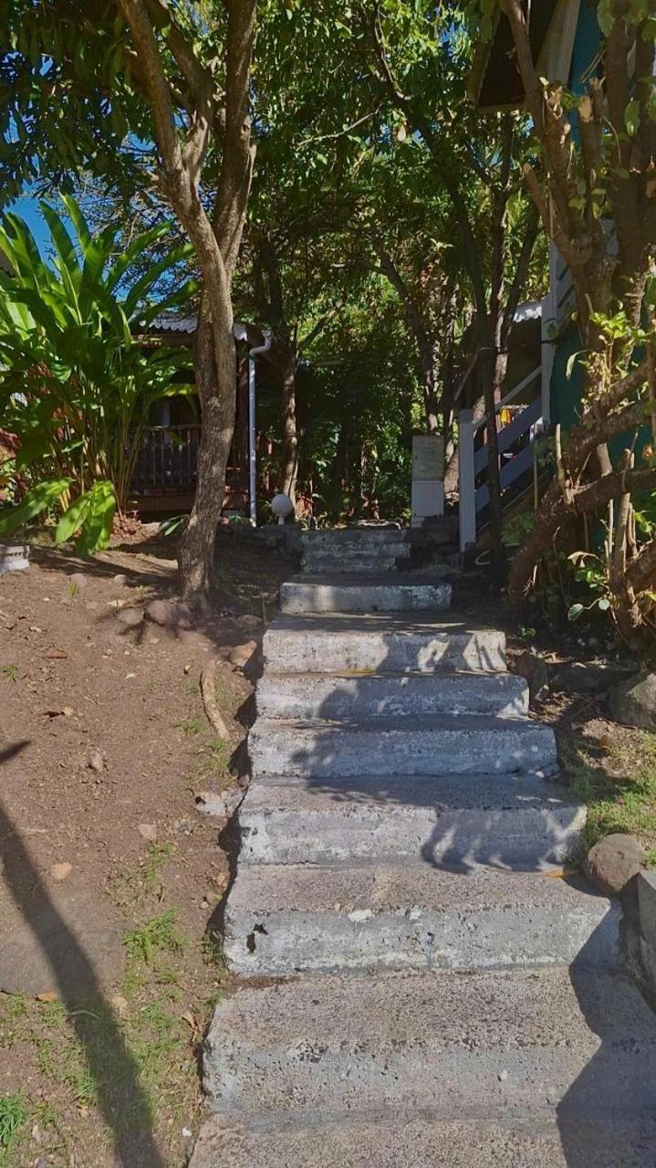 Apartment Le Mahogany Sur La De Petit-anse