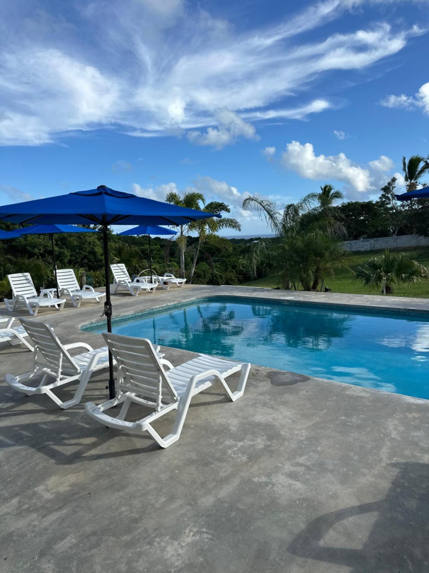 Club - Adults Only - Lgbt Friendly 4* Vieques