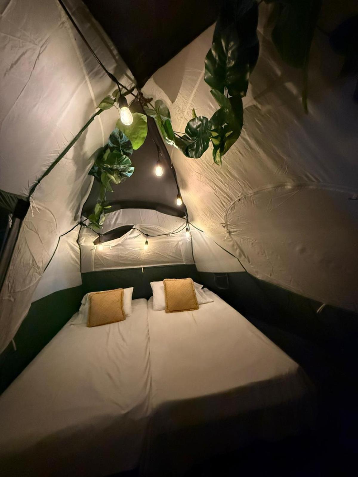 Bella Noni Bed & Breakfast 4*