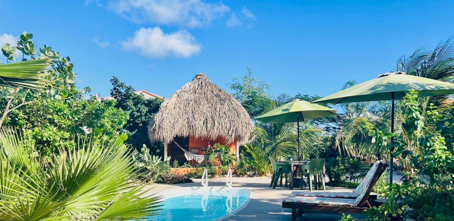 The Octopus Tropical Oasis Bed & Breakfast