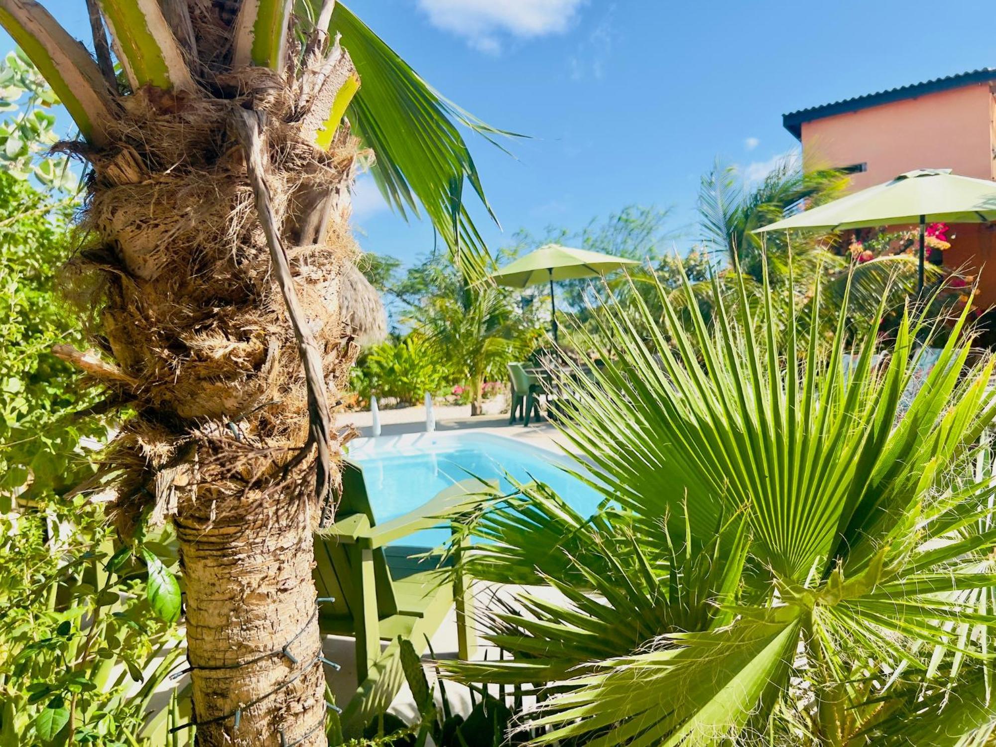 The Octopus Tropical Oasis *