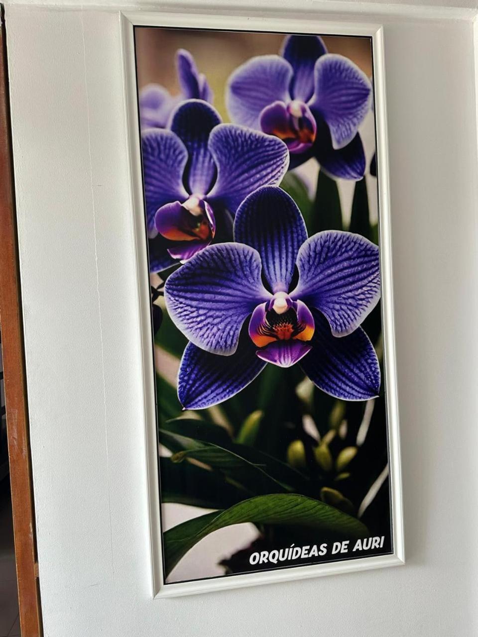 Guest house Orquideas De Auri